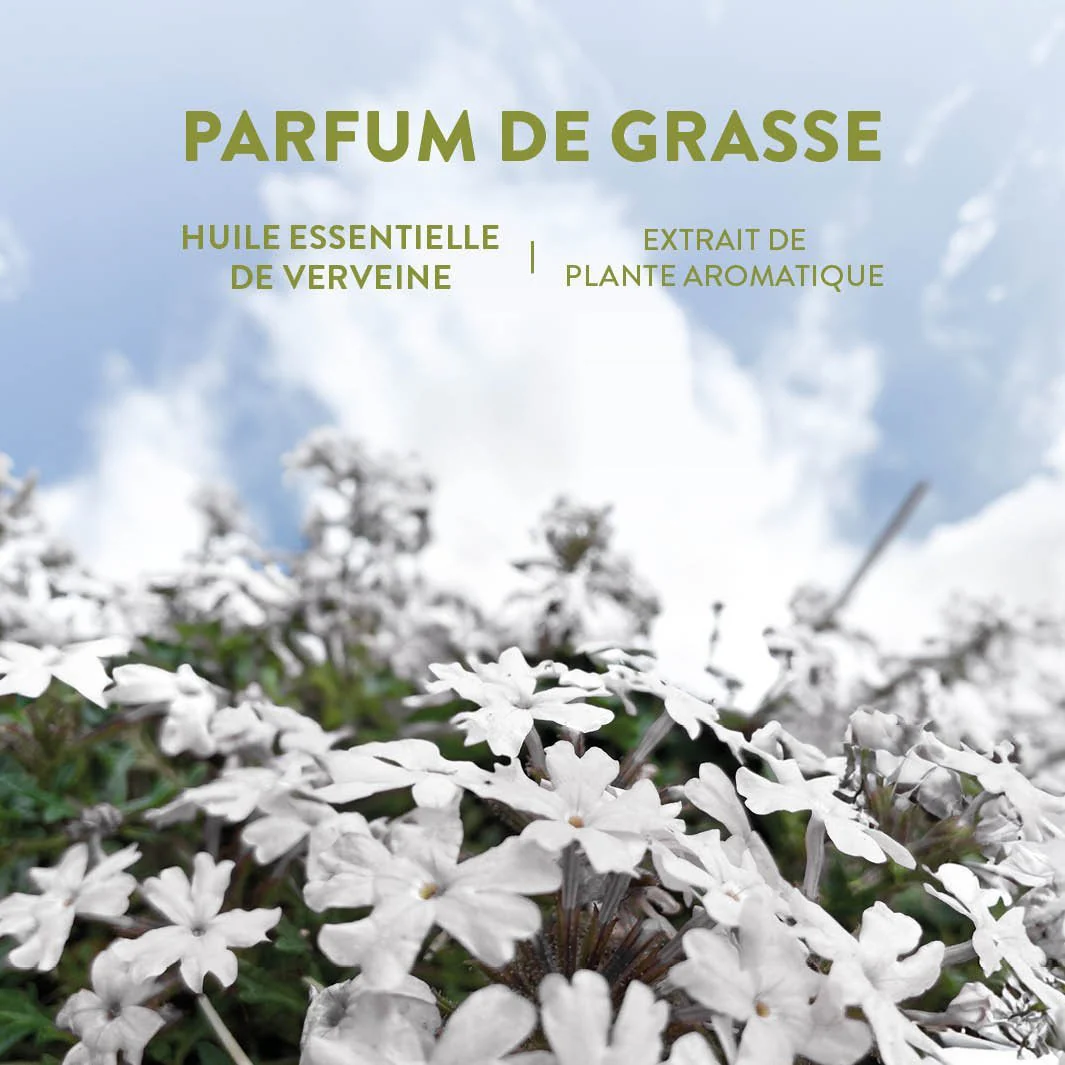 Eau de toilette roll-on - Huile Essentielle de Verveine 10ml - Image 6