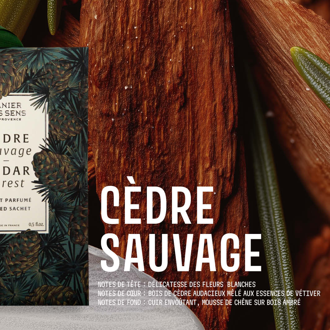 Sachet parfumé 15g  Cèdre sauvage - Image 3