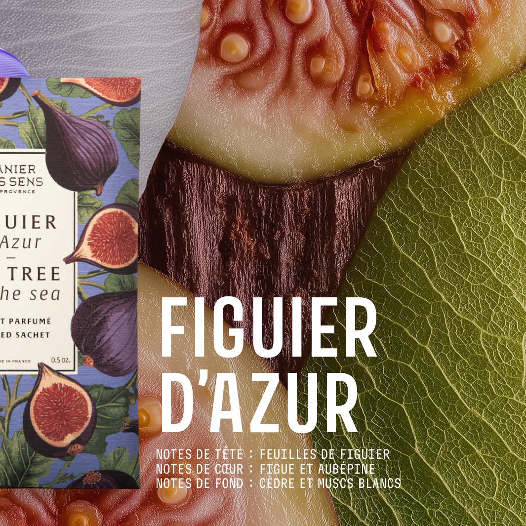 Sachet parfumé 15g Figuier d'azur - Image 3